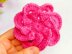 3 D PInk Flower