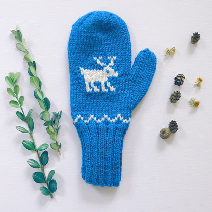 Yankee Knitter Designs 18 Pattern Mittens PDF