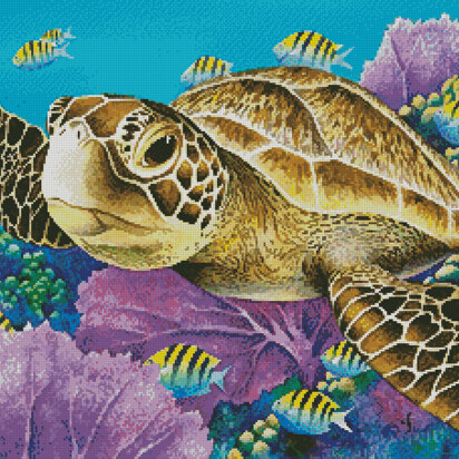 Young Green Sea Turtle - #11388-MGL
