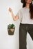 Perennial Plant Hanger