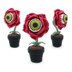 Eyeball Rose Flower in Pot