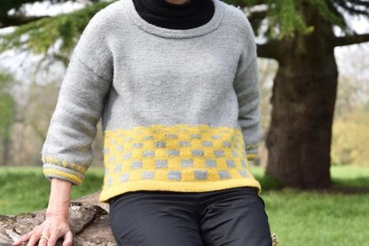 Paruline sweater