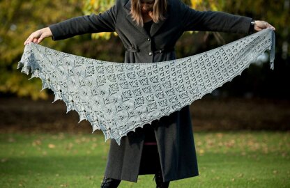 Lacebark