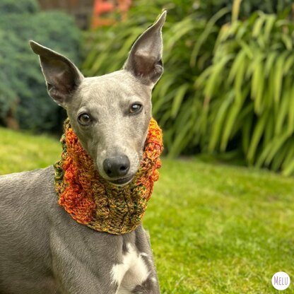 Doggy Bobble Snood