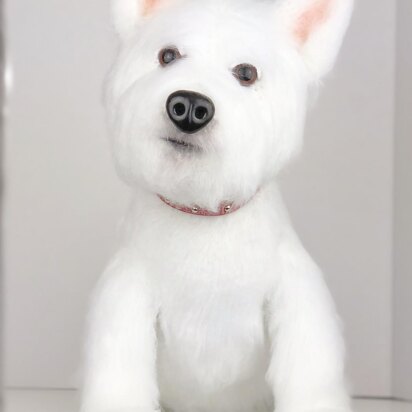 Westie dog c