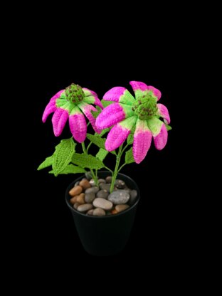 Crochet Echinacea/Cone flowers