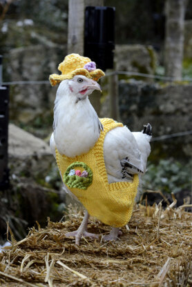 Flossy's Chicken Coat