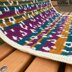 Wild Leopard Mosaic Blanket