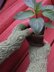 Olericulture Fingerless Gloves