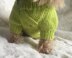 Lime Dog or Cat Sweater