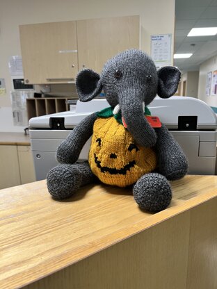 Pumpkin Costume (Knit a Teddy)