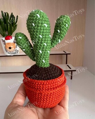 Cactus 2 in a pot