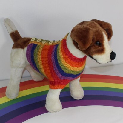 Small Dog Rainbow Back Button Up Dog Coat