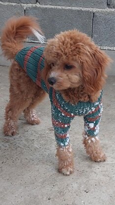 Dog Sweater Charlie No.2