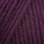 Plum Dandy (742)