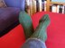 Chesterfield socks