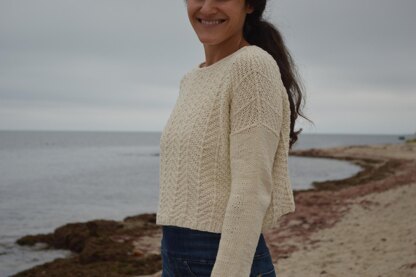 Salt Marsh Pullover