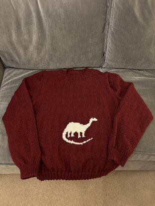 Julian's dinosaur jumper 