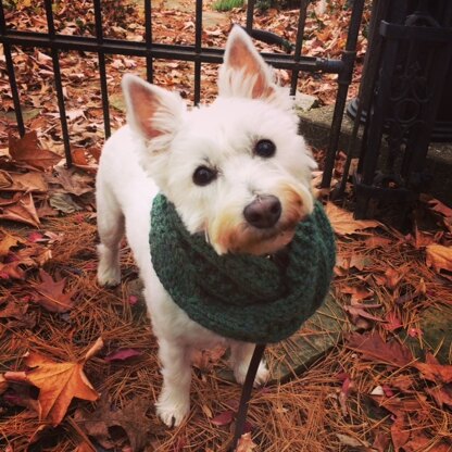 Debbie Bliss Paloma Cowl adapted for the Mika the Pupdog!