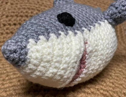 Sea Creatures Great White Shark