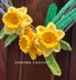 Spring Daffodil