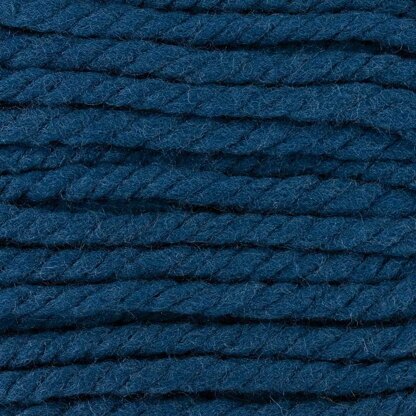 Blue Coral (3)