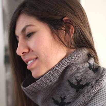 Knitbot Swallow Cowl PDF