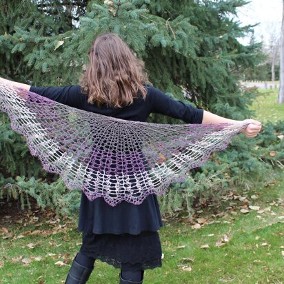 Moonlight's Lace Shawl