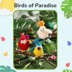 Birds of Paradise