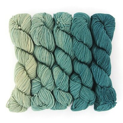 Wonderland Yarns Mad Hatter 5-Skein Pack