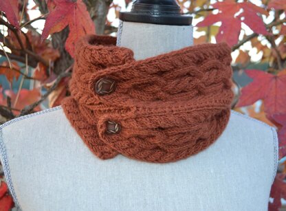 The Stitches of My Life Designs Erin's Cowl PDF