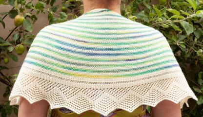 Summertime Shawl