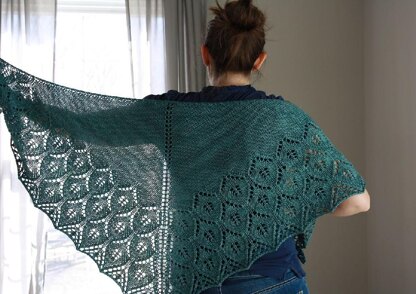 Icebox Shawl