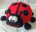 Nina the ladybug Magicalknit