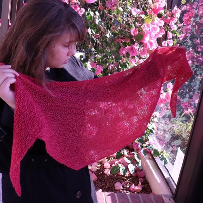 A Yarn Shop Shawl - knitting pattern