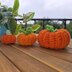 Pumpkins and Bunting