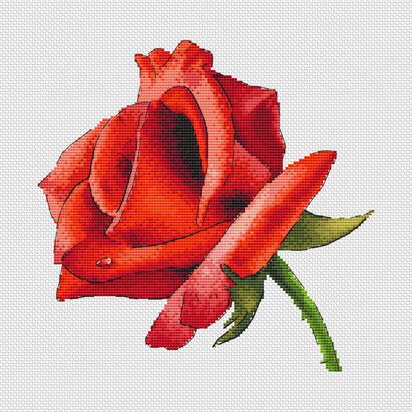 Red Rose Cross Stitch PDF Pattern