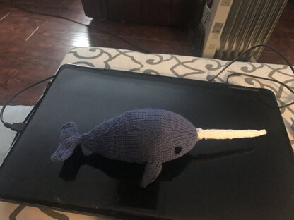 karens narwhal