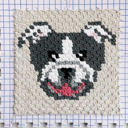 C2C Bulldog / Pitbull Dog Blanket Square