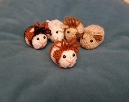 Guinea Pig Creme Egg Cosy