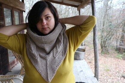 Trophy Shawl Revisited