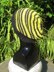 Alternate Random Stripe Slouch Hat