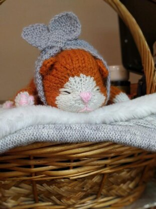 Sleepy kitten knitting pattern. Scottish fold kitten knitting pattern