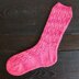 Euphyllia Lace Socks