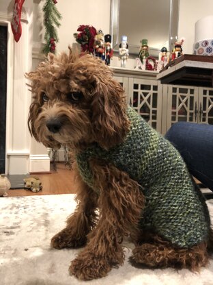 Dog Sweater