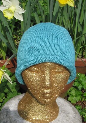 Simple Roll Brim Beanie