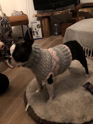 Mabel’s jumper