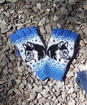 Dog Show Gloves