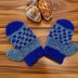 Crochet Women’s Mitten Pattern – Adult Gloves PDF