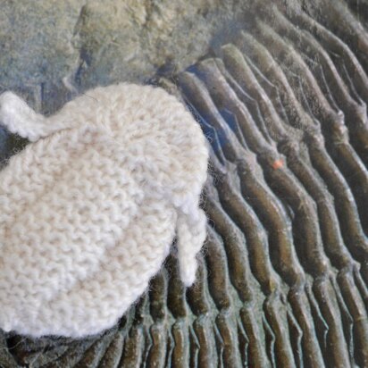 Trilobite - knitting pattern